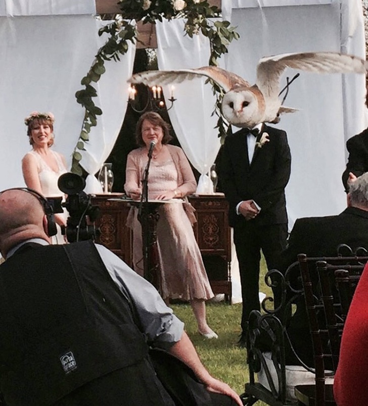 Illustration de l'article : Ces 21 photos qui dupent l'esprit et le cerveau