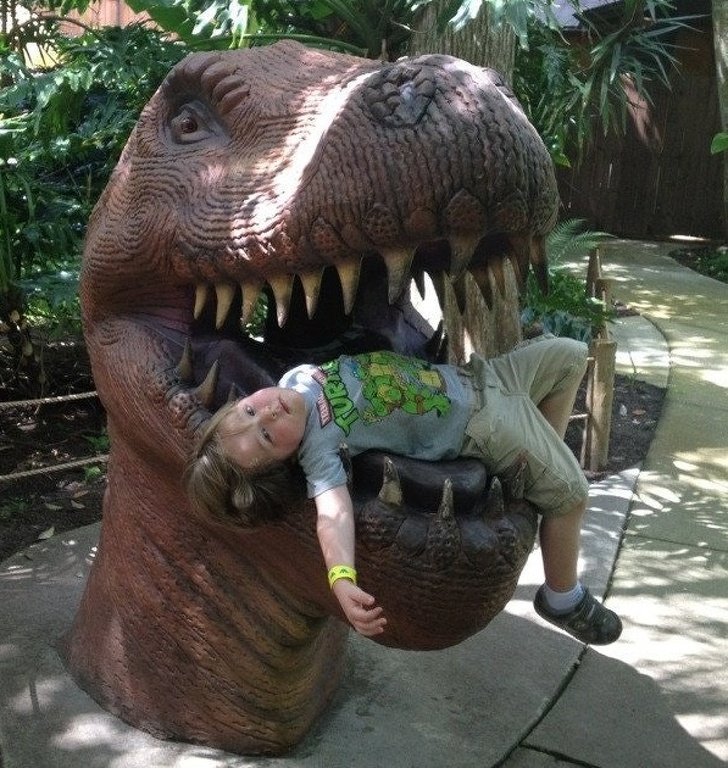 Illustration de l'article : Ces 19 photos qui montrent que les enfants ne trichent jamais avec les émotions