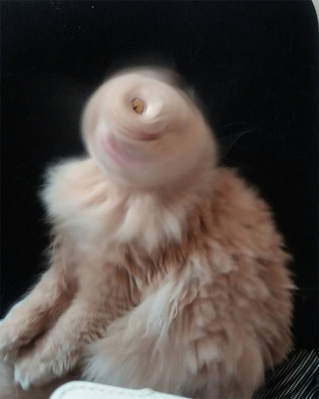 Illustration de l'article : 32 photographes qui ont magnifiquement réussi à suspendre le temps !