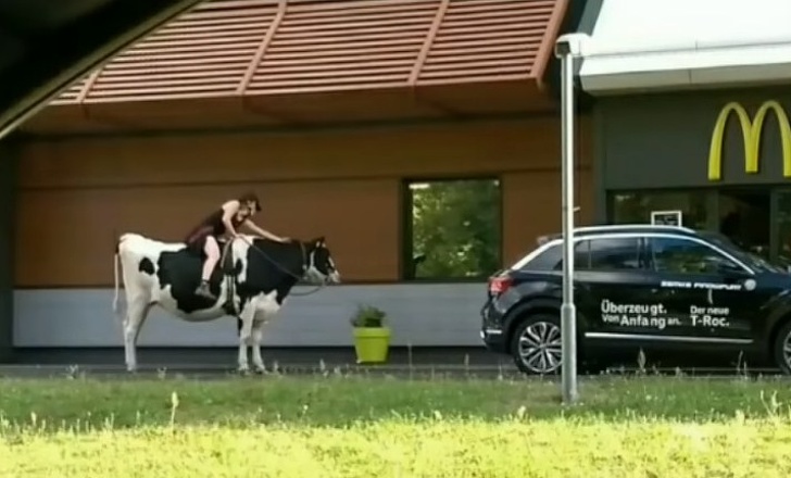 Illustration de l'article : Ces 19 photos qui ont un côté plutôt absurde