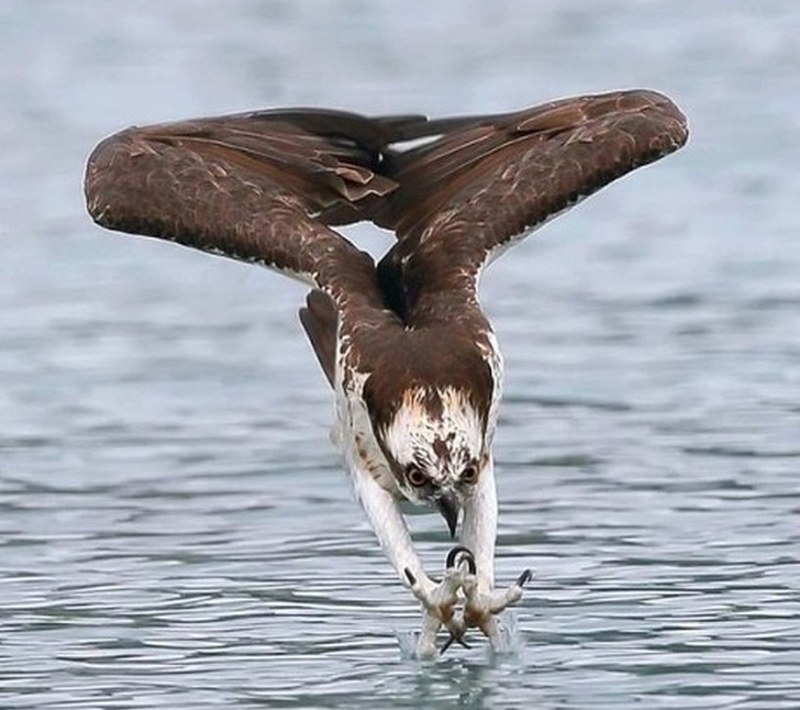 Illustration de l'article : Ces 19 scènes qui pourraient être dans un film d'aventure