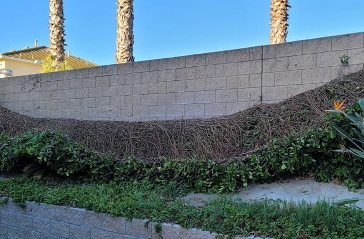 Illustration de l'article : Ces 15 photos qui pourraient montrer que nous vivons dans une matrice