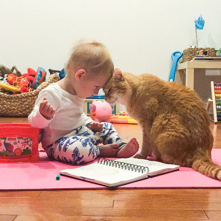 Illustration de l'article : Ces 16 photos de moments tendres de la vie