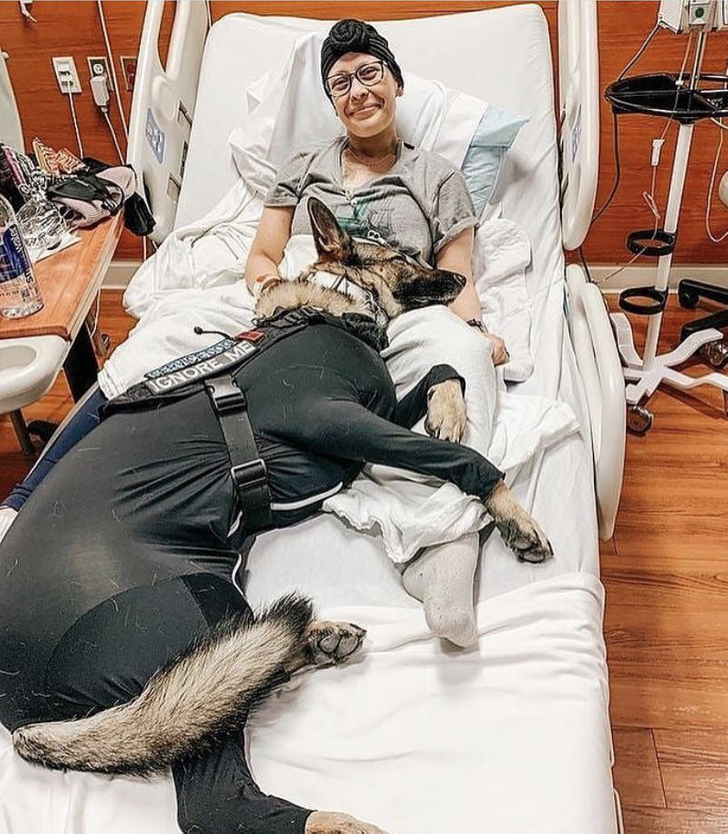 Illustration de l'article : Ces 19 photos illustrant de belles rencontres de la vie