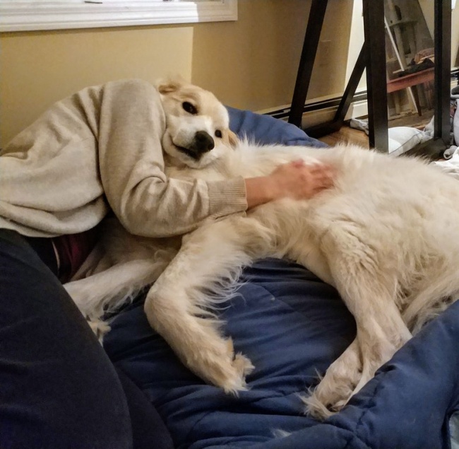 Illustration de l'article : 25 photos qui tromperont même les esprits les plus perspicaces