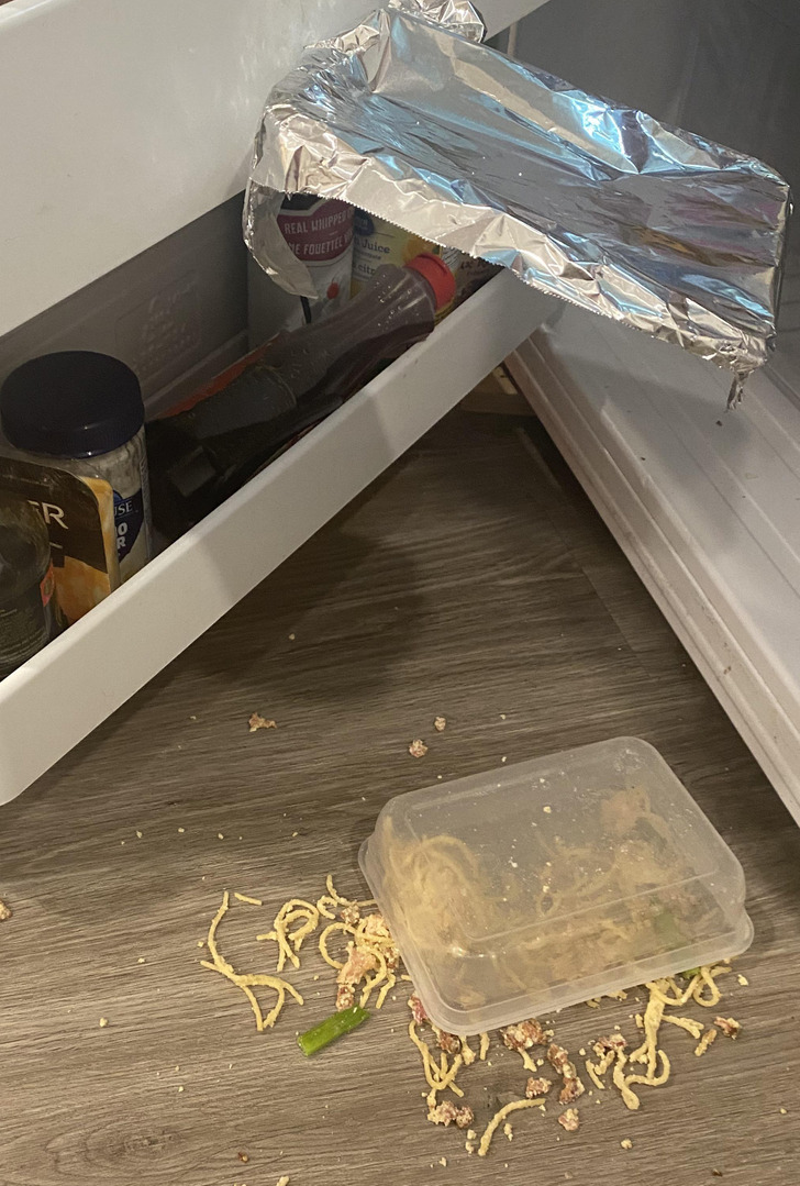 Illustration de l'article : Ces 19 photos qui témoignent des mauvais jours