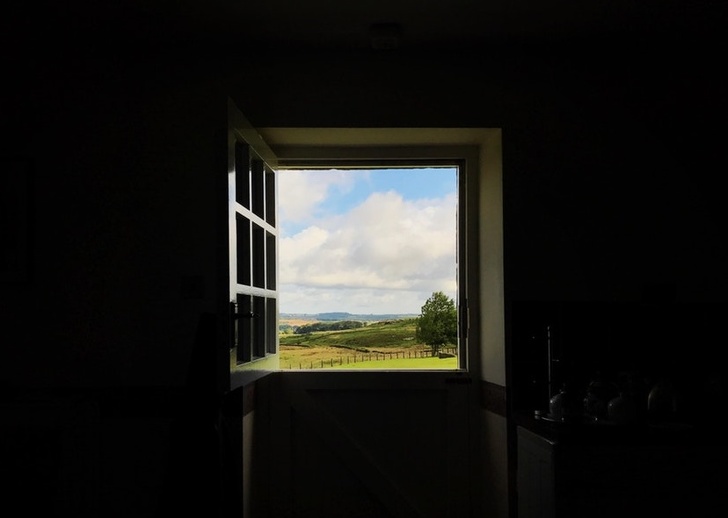 Illustration de l'article : Ces 25 photos sont d'une perfection agréable à admirer