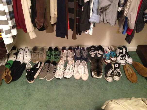 Illustration de l'article : Qui a vraiment le niveau pour trouver l'intrus sur ces 100 photos ? 