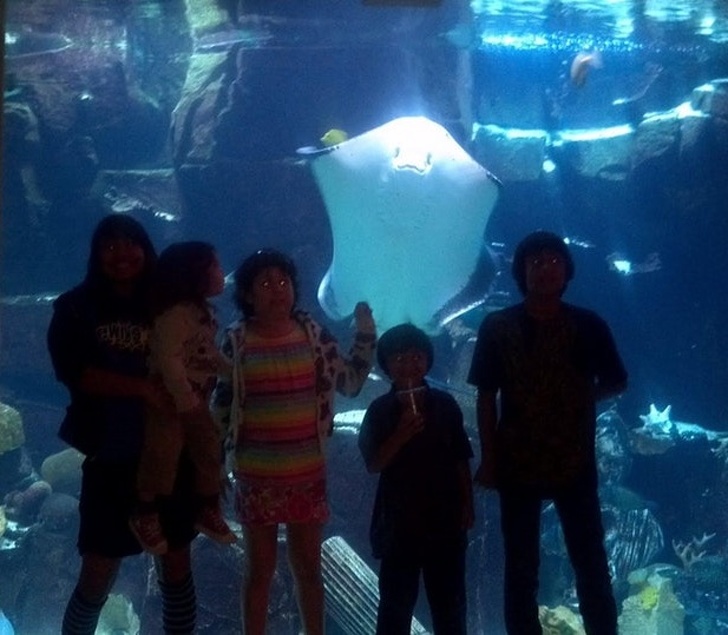 Illustration de l'article : Ces 18 photos où l’arrière-plan a concentré toute l'attention