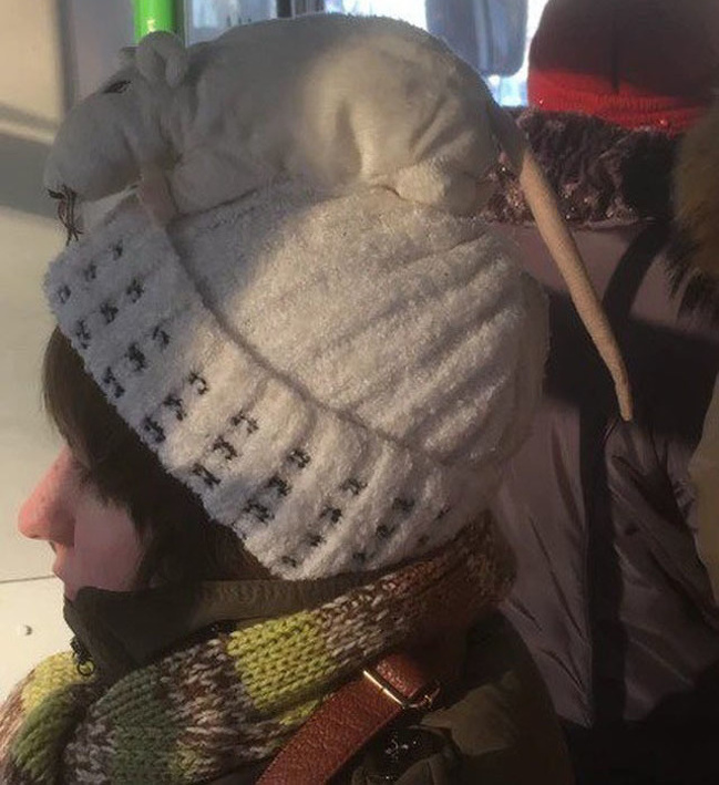 Illustration de l'article : Sélection des 23 photos insolites de la semaine