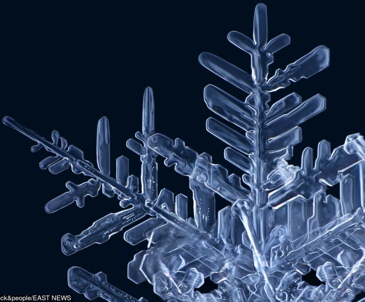 Illustration de l'article : Ces 16 photos vues au microscope pour mieux apprécier les détails