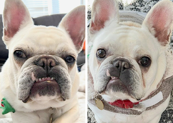 Illustration de l'article : Ces 17 photos qui montrent que Dame Nature a de l'humour