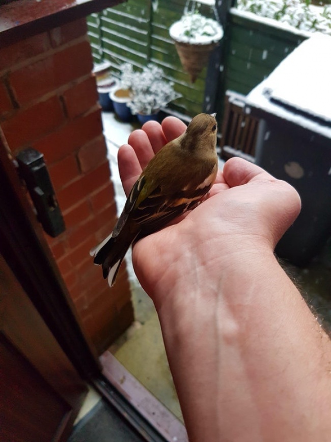 Illustration de l'article : 26 personnes qui ont démarré l’année de la meilleure des façons