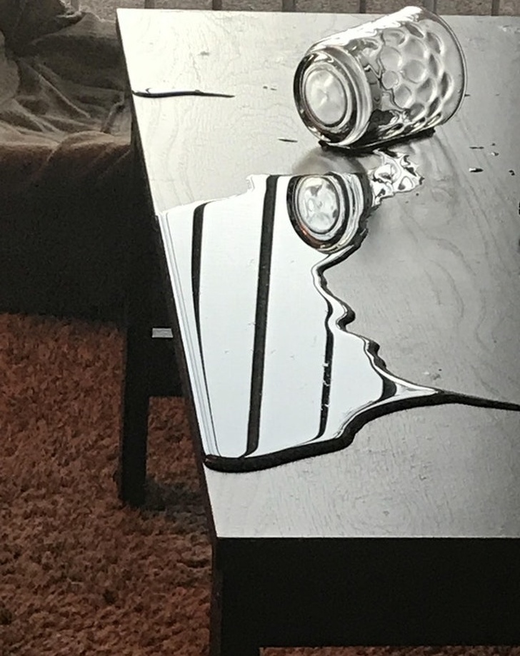 Illustration de l'article : Ces 21 photos de découvertes et de situations rarement vues