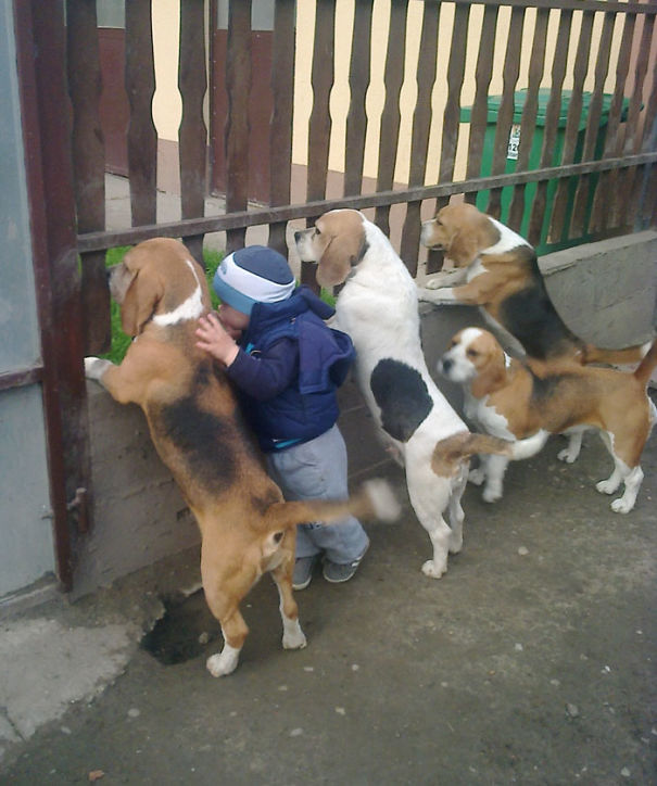 Illustration de l'article : Qui a vraiment le niveau pour trouver l'intrus sur ces 100 photos ? 