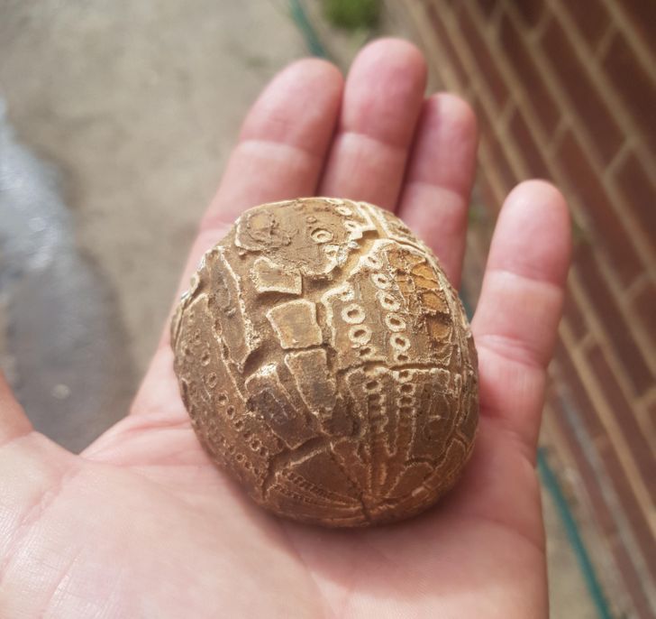 Illustration de l'article : Ces 19 trouvailles que certaines personnes ont faites