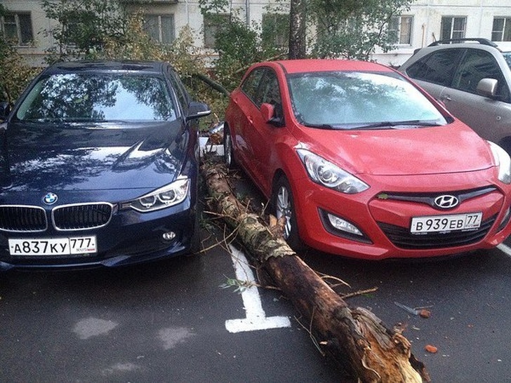 Illustration de l'article : Ces 19 situations où la chance est apparue au bon moment