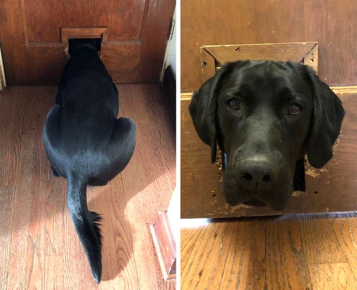 Illustration de l'article : Ces 18 photos des découvertes qu'on peut faire en emménageant