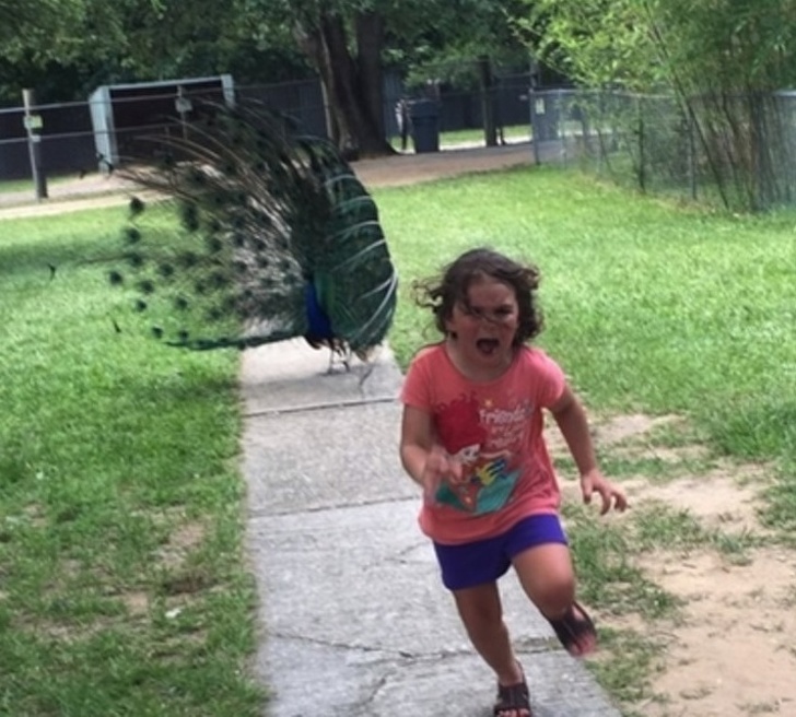 Illustration de l'article : Ces 20 personnes auraient tout donner pour ne pas vivre cette journée