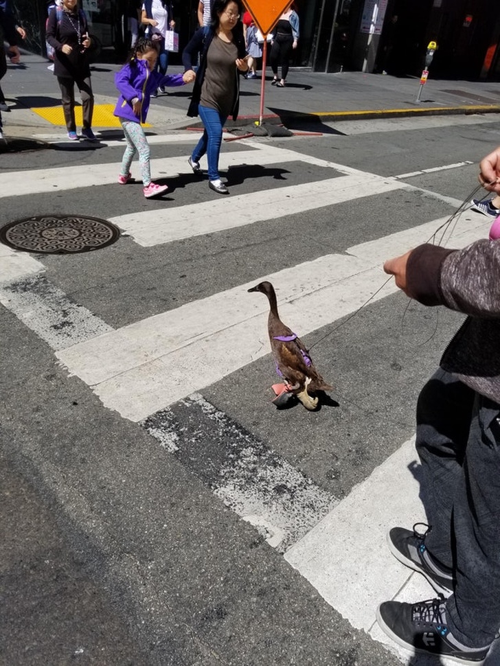 Illustration de l'article : Ces 15 photos qui remettent beaucoup de choses en question