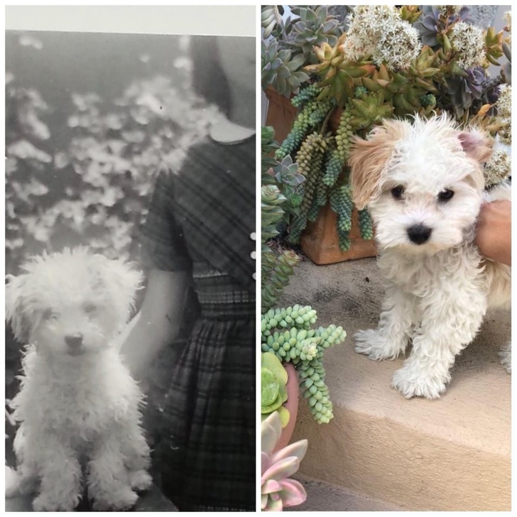 Illustration de l'article : Ces 20 photos avant/après qui montrent que certaines choses ne changent jamais