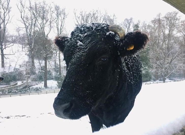 Illustration de l'article : Ces 22 photos qui réclament une attention particulière