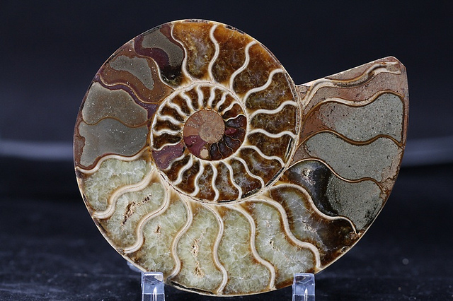 Illustration de l'article : La nature crée de merveilleuses œuvres d’art, comme le montrent ces 31 photos