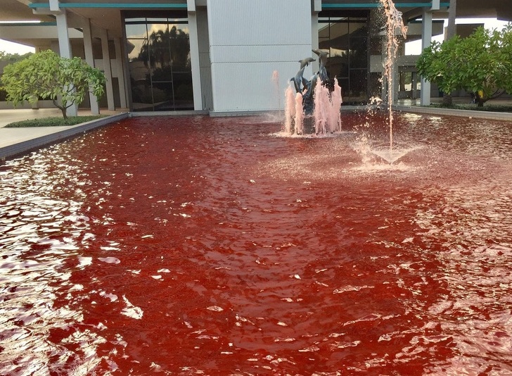 Illustration de l'article : Ces 18 personnes qui ont réalisé une grosse bourde