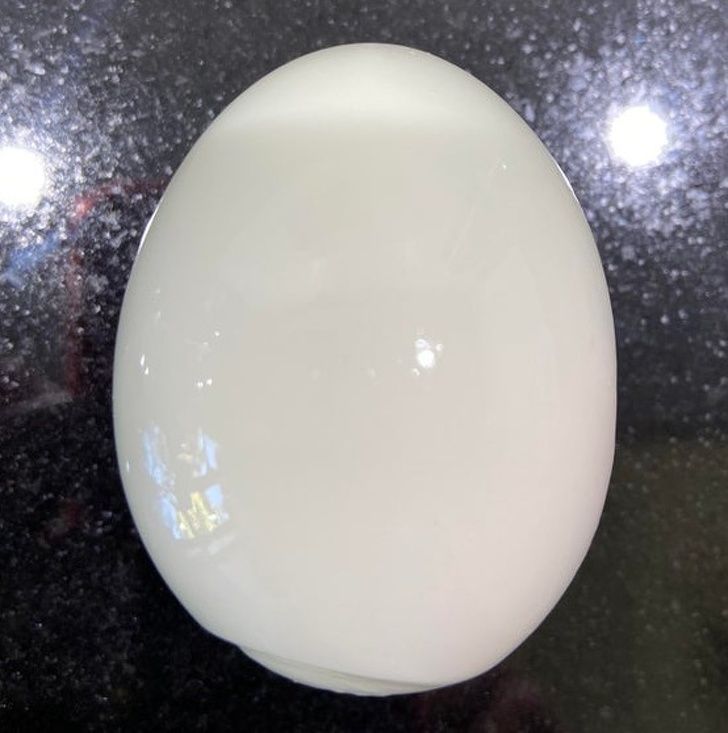 Illustration de l'article : Ces 20 photos qui montrent que la nature est bien faite