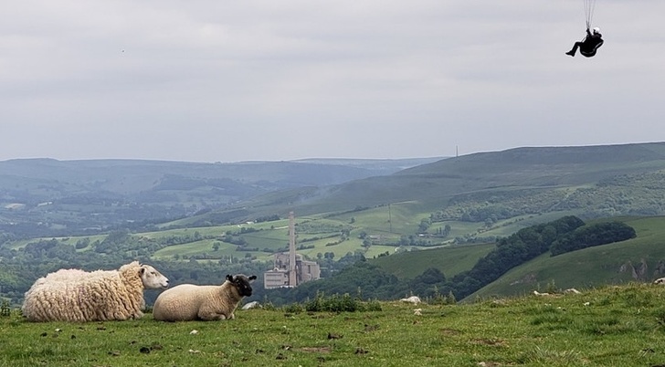 Illustration de l'article : Ces 18 photos où l’arrière-plan a concentré toute l'attention
