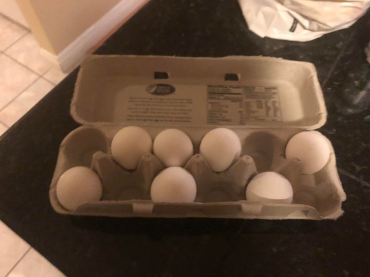 Illustration de l'article : Ces 22 photos qui font perdre patience