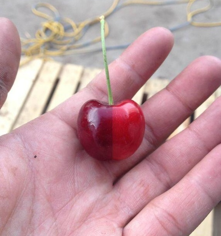 Illustration de l'article : Ces 28 photos qui réalisées par des personnes maniaques