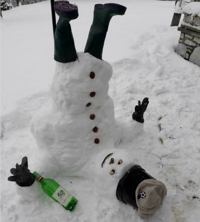 Illustration de l'article : Ces 15 trolls qui donnent le sourire pour la journée