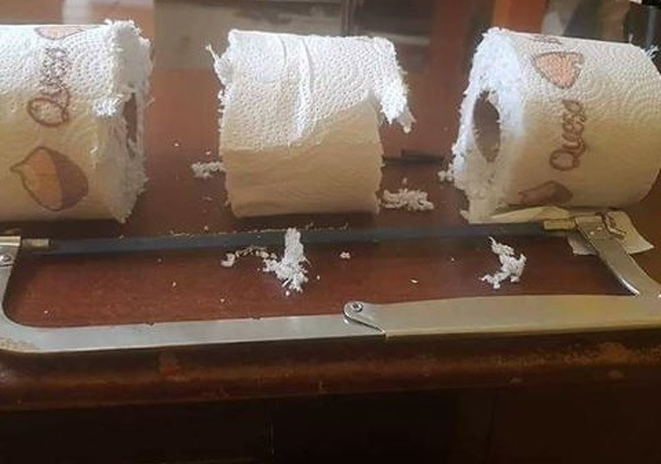 Illustration de l'article : Ces 21 personnes qui m&eacute;ritent une bonne journ&eacute;e de repos