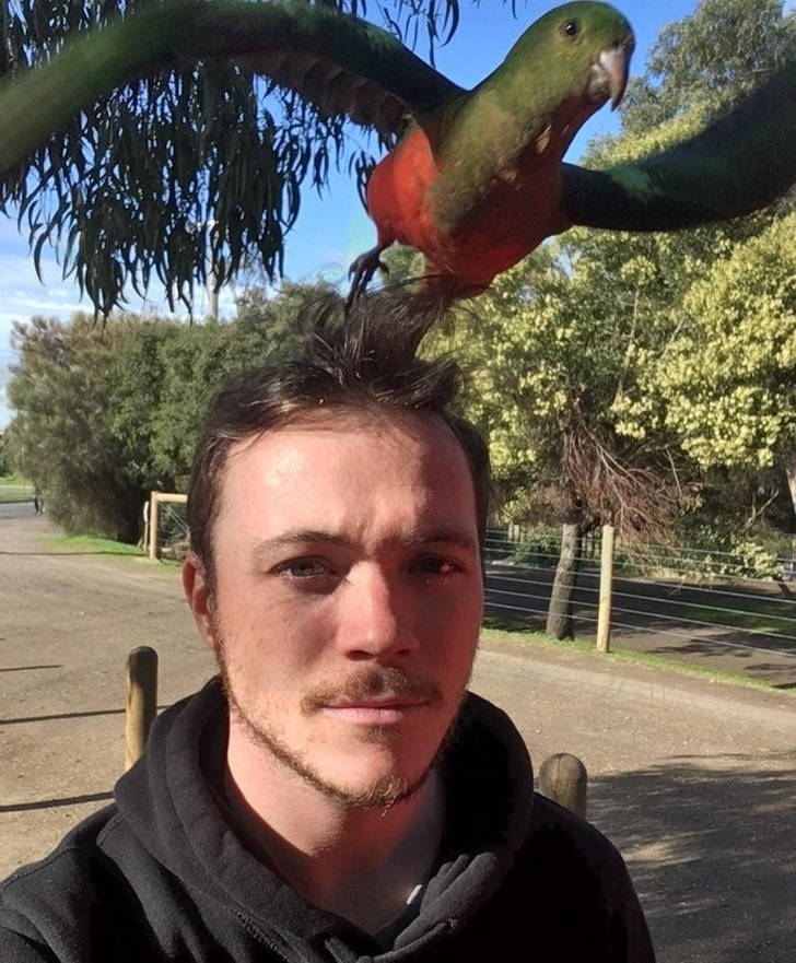 Illustration de l'article : Ces 19 photos devenues mémorables grâce à leur arrière-plan