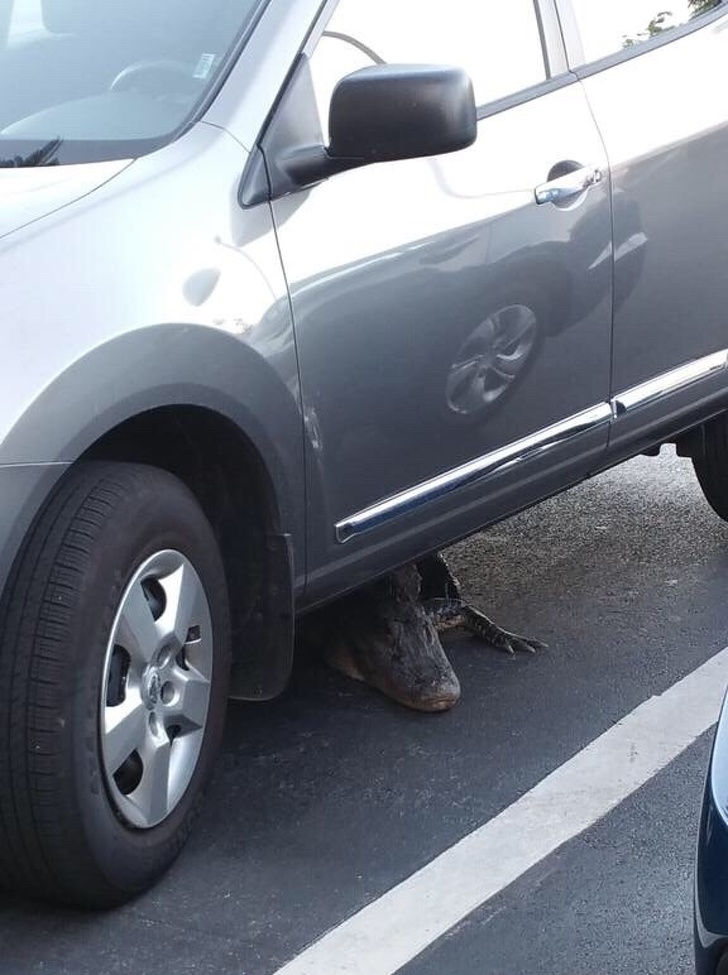 Illustration de l'article : Ces 16 situations frissonnantes auxquelles il vaut mieux ne pas être confronté