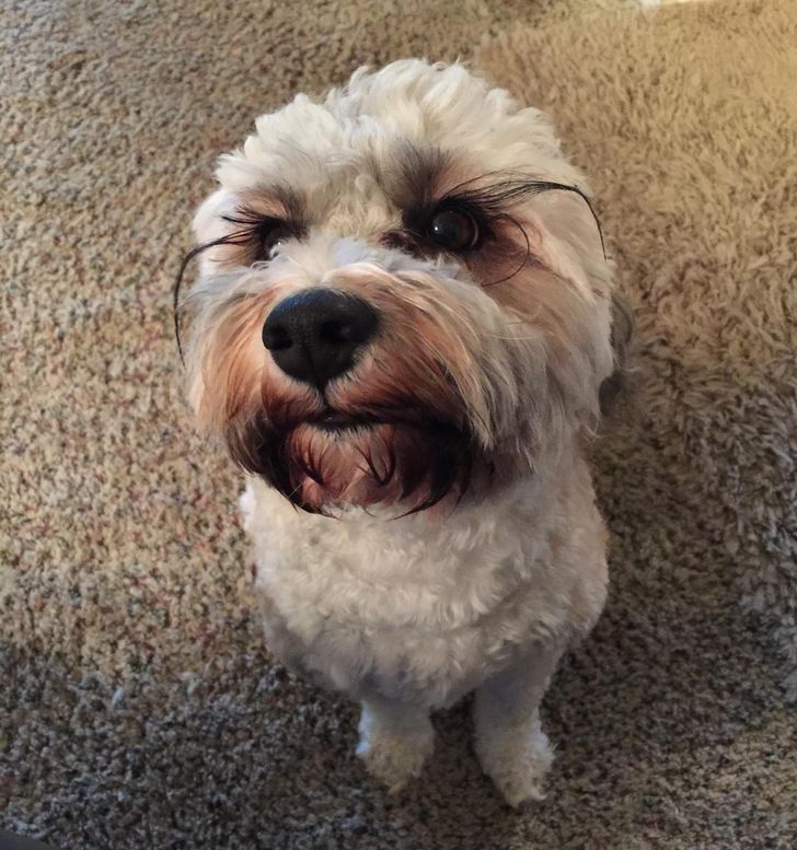 Illustration de l'article : Ces 20 photos illustrant les bonus que donne la nature &agrave; ses &eacute;l&eacute;ments