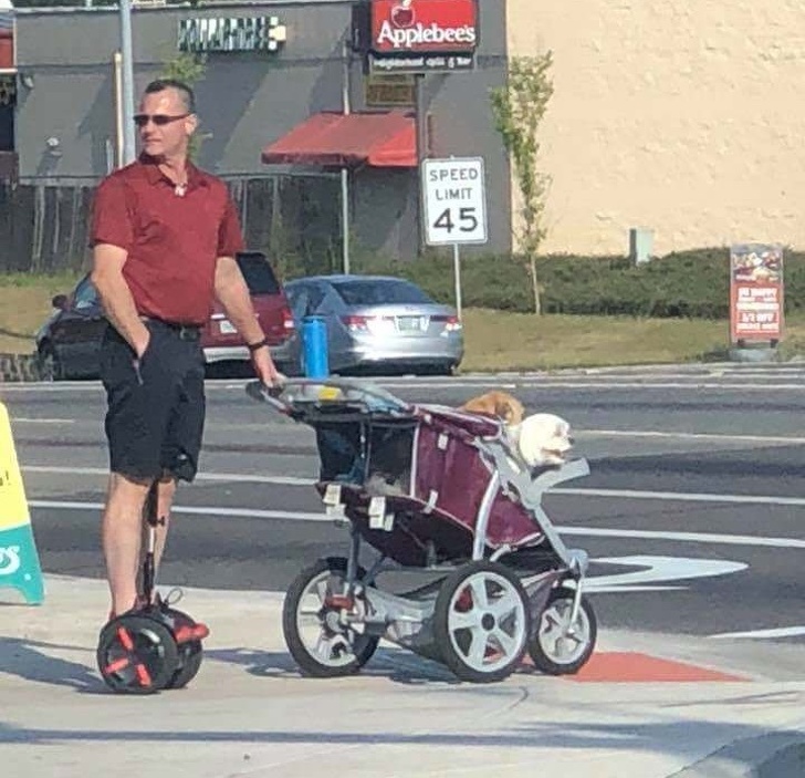 Illustration de l'article : Ces 19 photos de situations qui n'ont pas de sens