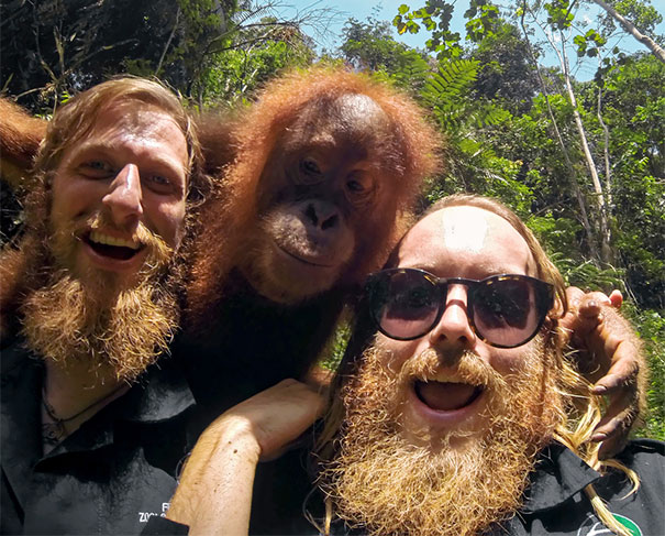 Illustration de l'article : Qui a vraiment le niveau pour trouver l'intrus sur ces 100 photos ? 