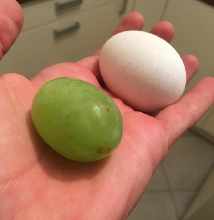 Illustration de l'article : Ces 20 photos illustrant les oeuvres insolites de la nature