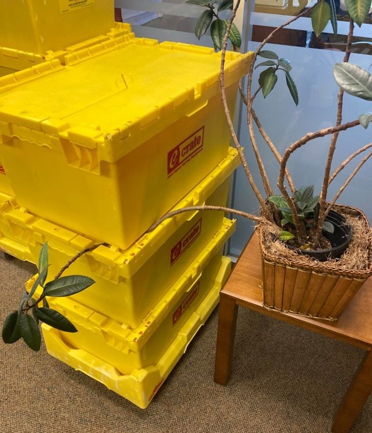 Illustration de l'article : Ces 20 photos qui illustrent les erreurs à ne pas faire au travail