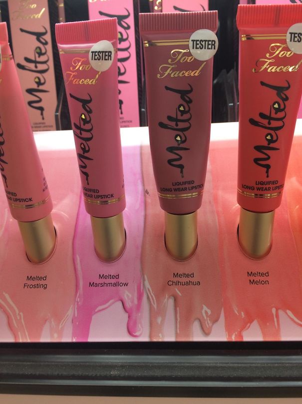 Illustration de l'article : Qui a vraiment le niveau pour trouver l'intrus sur ces 100 photos ? 