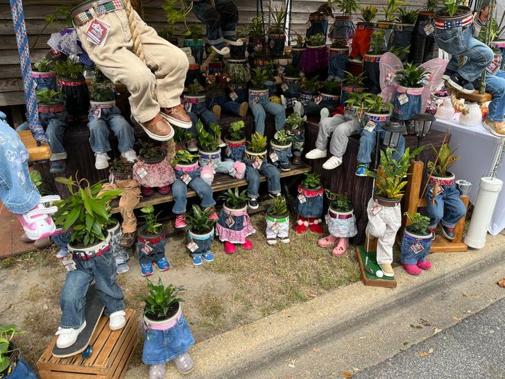 Illustration de l'article : Ces 20 objets et r&eacute;alisations tir&eacute;s par les cheveux