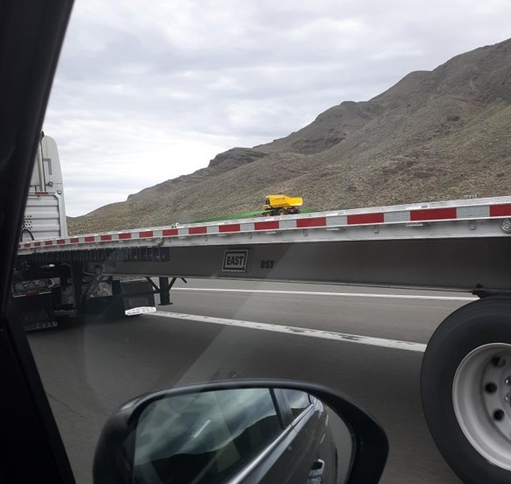 Illustration de l'article : Ces 19 exceptions qui ont marqué les auteurs de ces photos