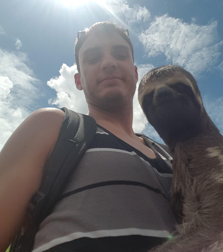 Illustration de l'article : Ces 15 photos qui illustrent des moments d'émotion et de tendresse