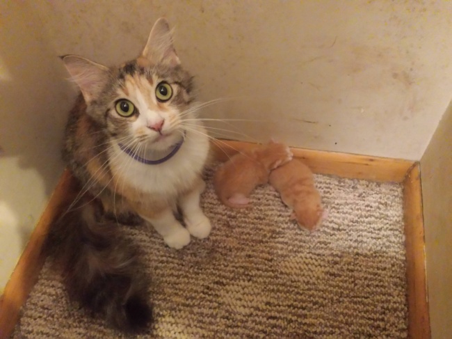 Illustration de l'article : 27 personnes partagent avec vous leurs découvertes incroyables