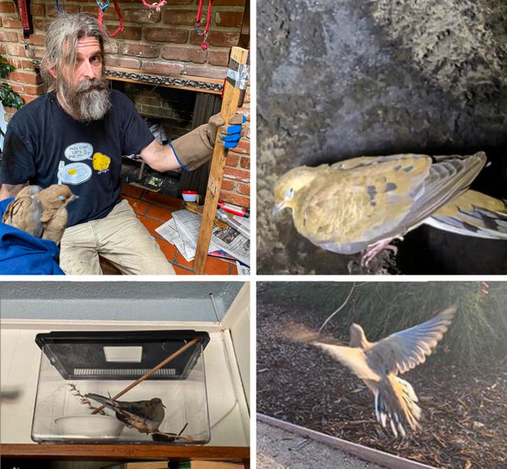 Illustration de l'article : Ces 18 photos qui montrent à quel point il est important d'être généreux et d'aider les gens