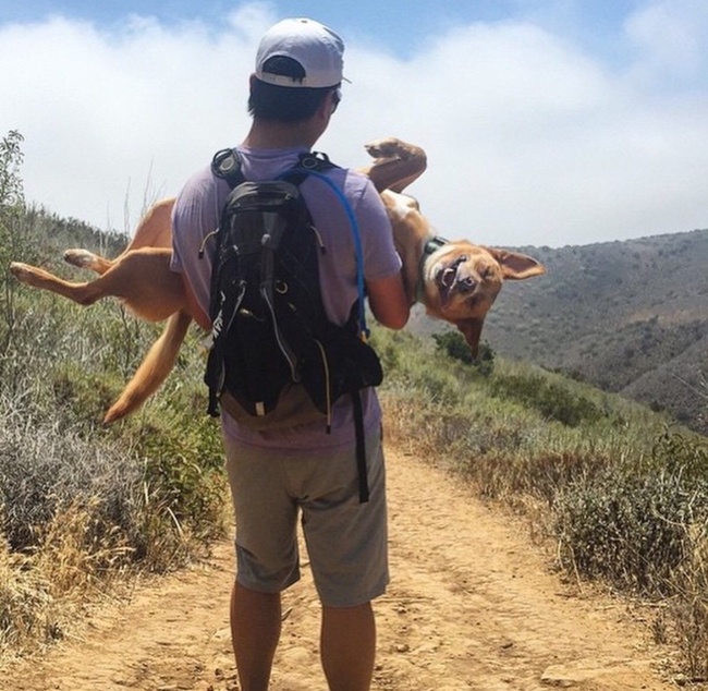Illustration de l'article : Ces 20 photos résument le quotidien d'un fainéant