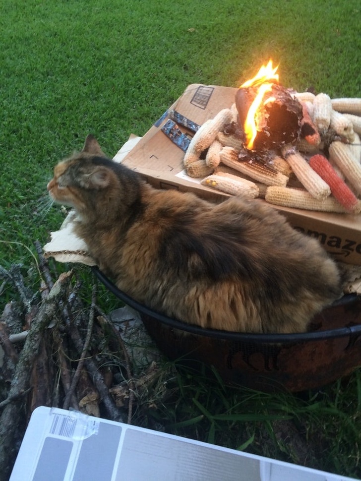 Illustration de l'article : Ces 21 personnes qui vivent selon leurs règles sans se soucier des autres