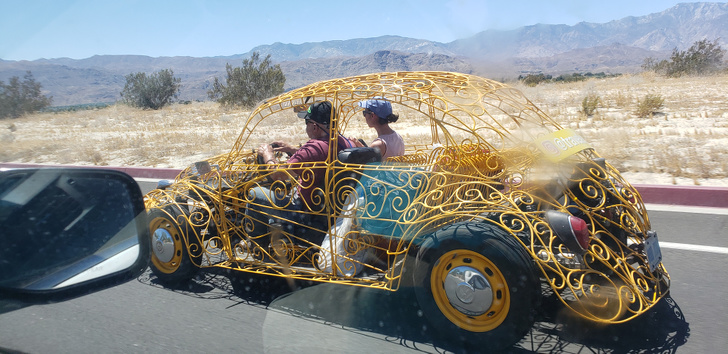 Illustration de l'article : Ces 22 photos saisies au bon moment